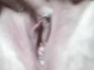 大我的马，在厨房里 孟加拉性别的视频全高 ...