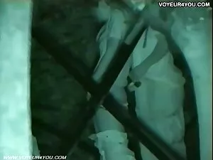 最好的大黄蜂视频是Lizzy 性爱视频高 ...