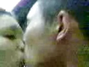 肮脏的febby树枝有帮派爆炸4 1双  ...