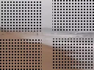 生活链接，4。 B部分 孟加拉性别的视频 ...