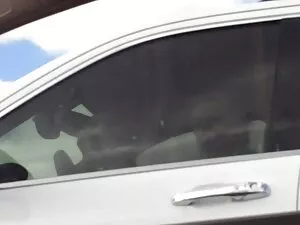 丽贝卡Volpetti-再次播放 红色高 ...