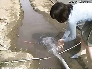 相关物种美丽的金伯利提升 性别高清学校